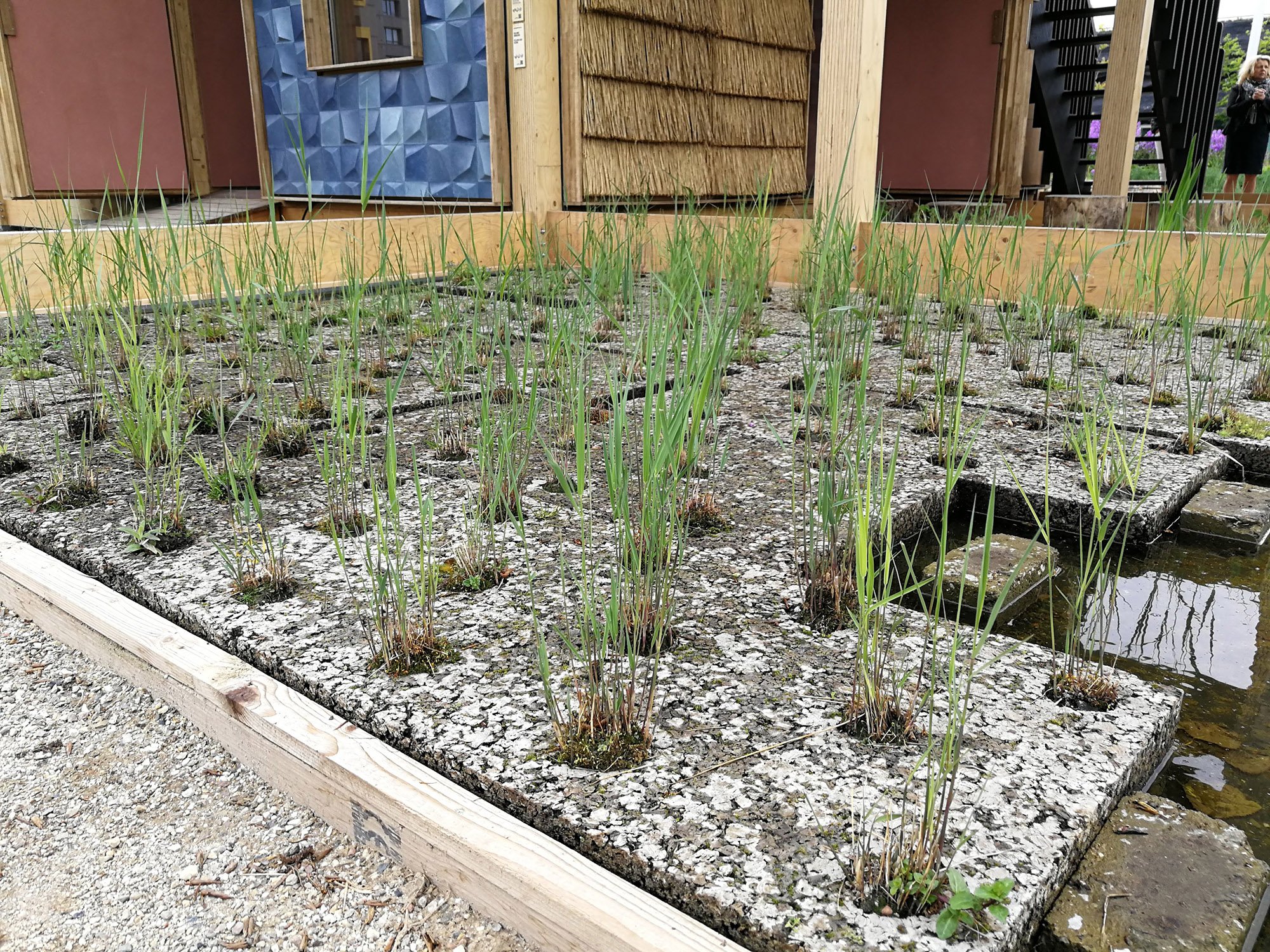 Cork Mats for Plants - Urban Garden Center